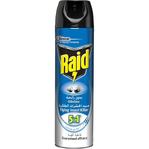 Raid Flying Insects Killer Odorless Spray – 300ml