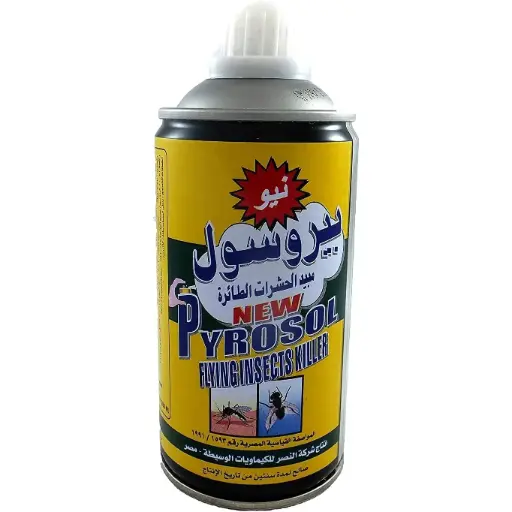 بايروسول قاتل الحشرات الطائرة – 300 مل