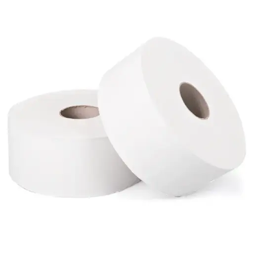 Toilet Maxi Roll (450g per roll) – 12 Rolls