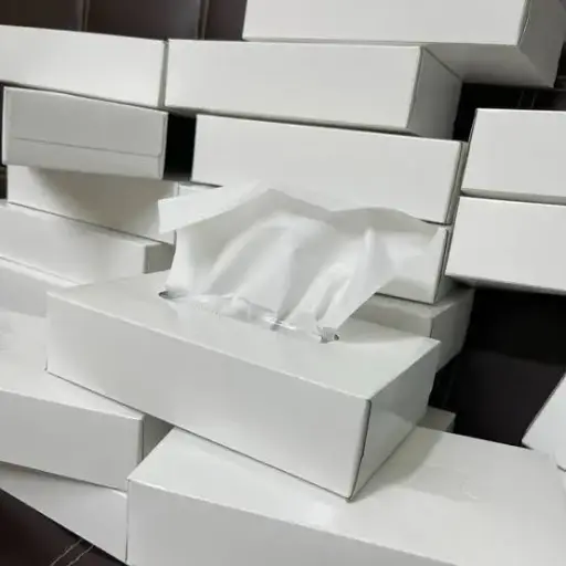 Premium Quality Facial Tissues (White Box) - 100 Sheets - 60 Packs